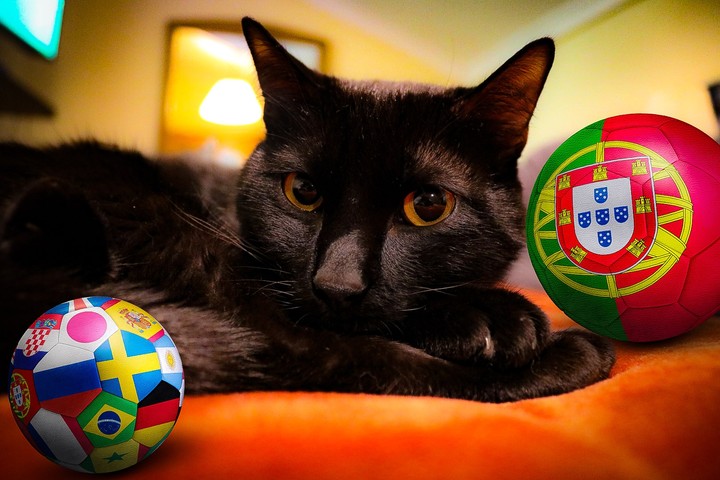 Portugal 