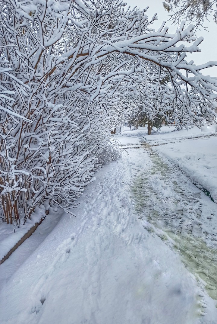 snow, снег
