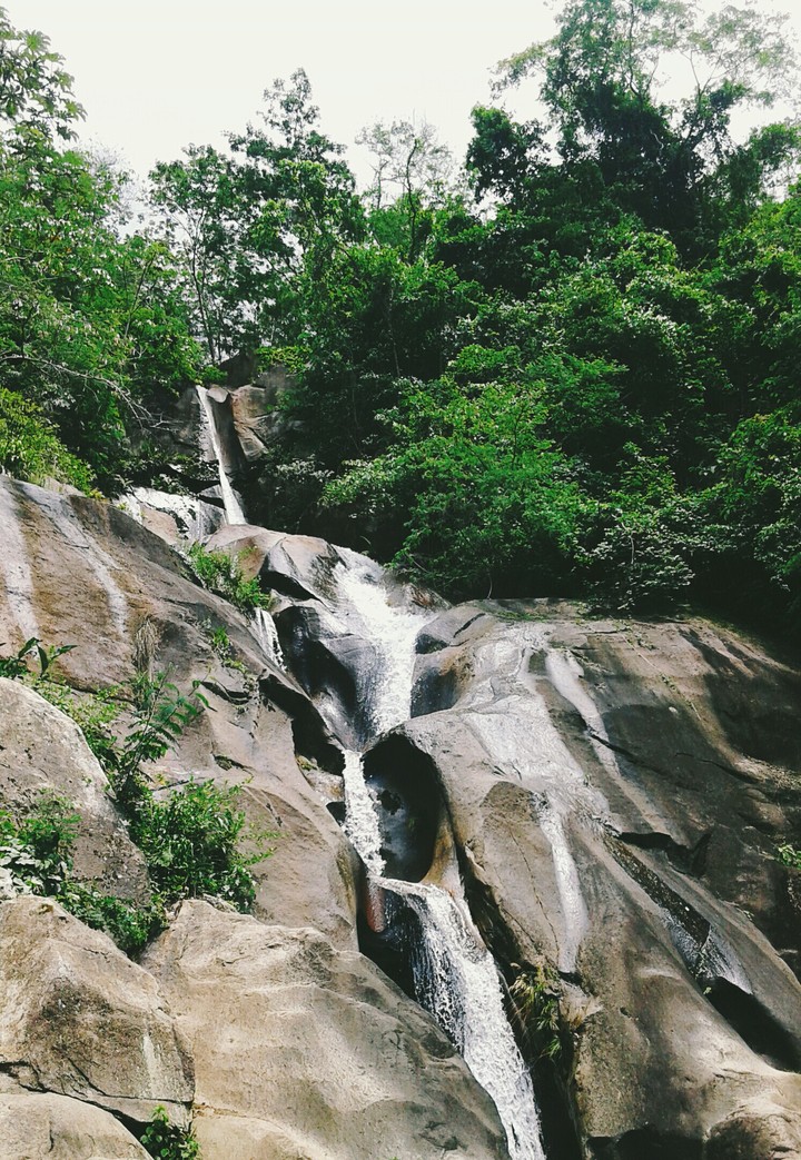 amar a la naturaleza