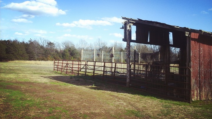 Barn