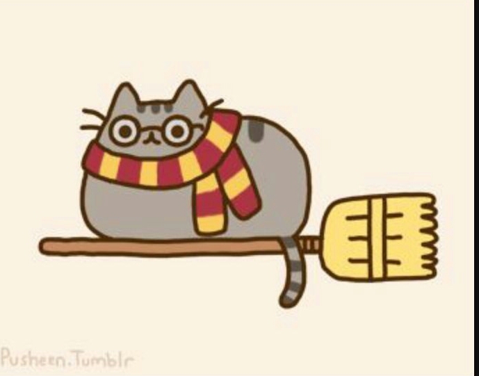 Harry Potter Pusheen