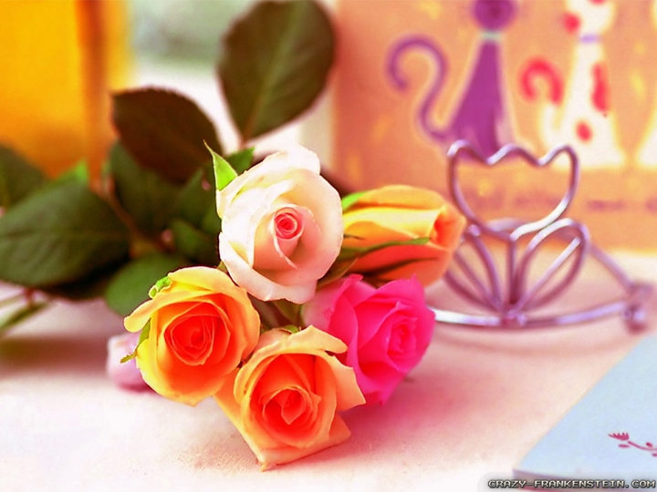 Rose