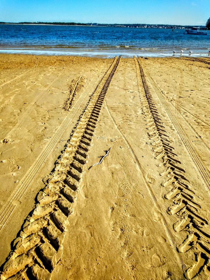 Tyre Tracks
