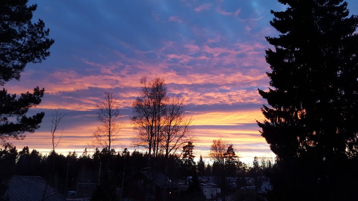 sunset