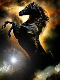 mustang