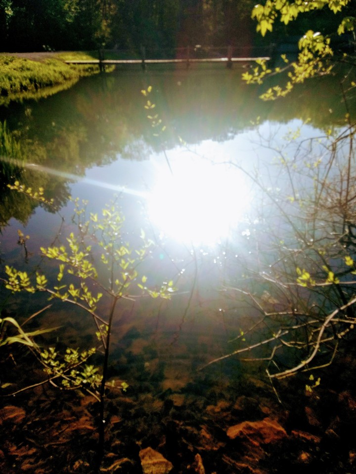 reflection