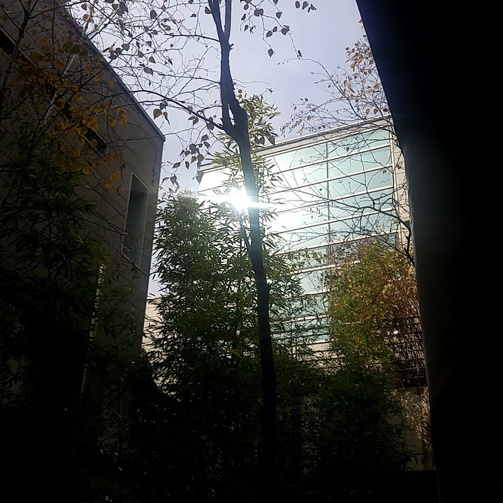 light's reflection