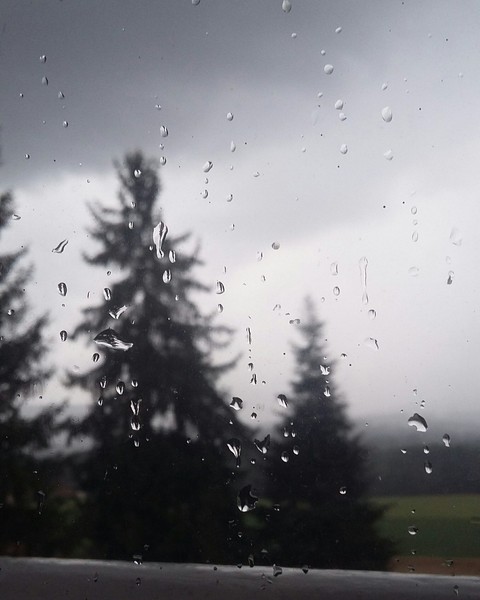 Rain.