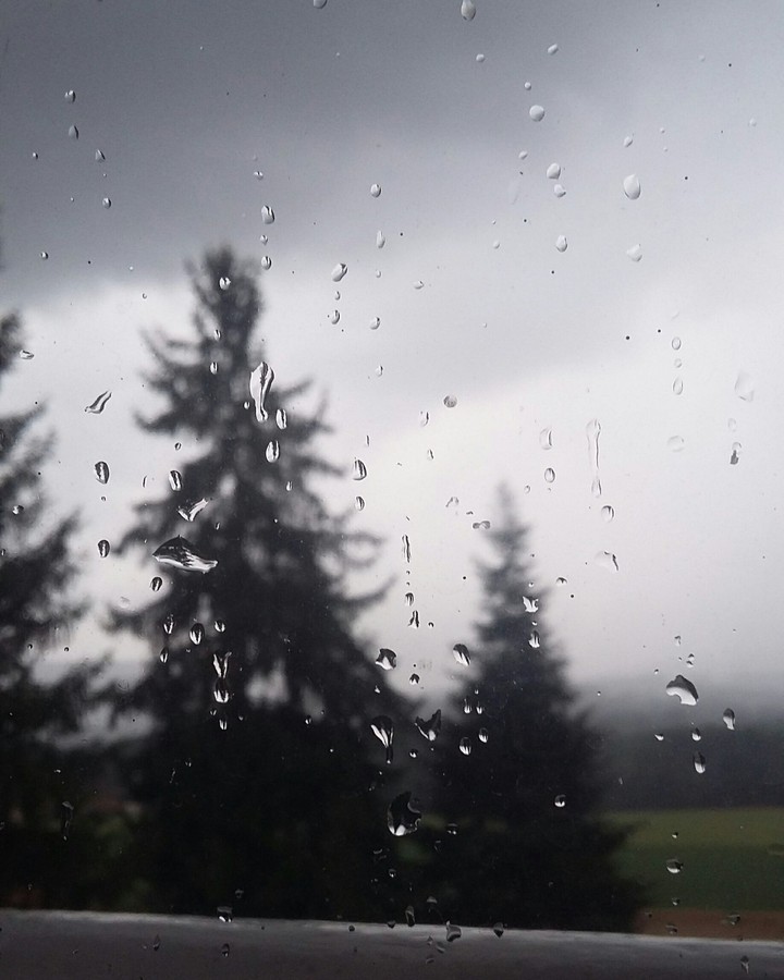 Rain. 