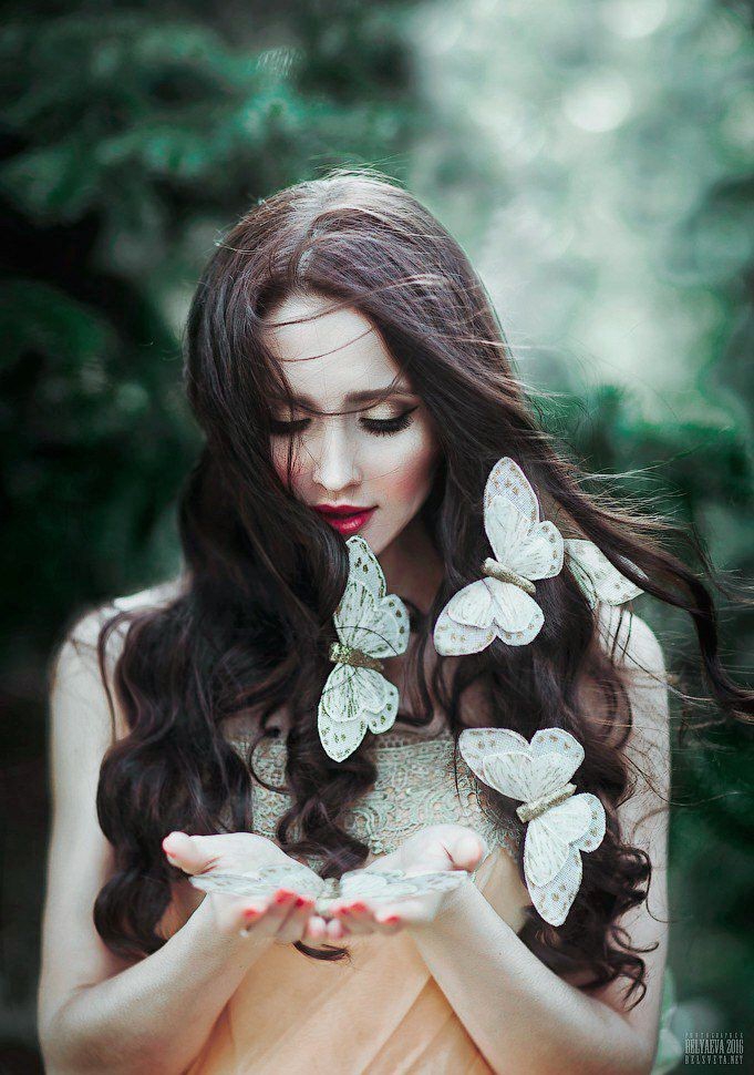 butterfly