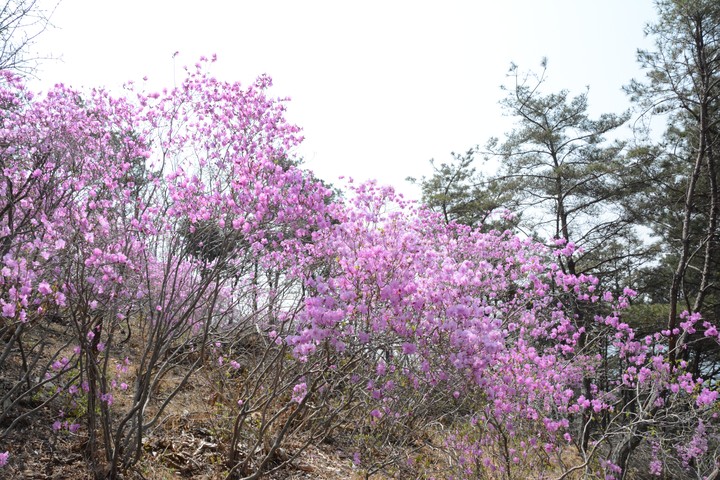 풍경이미지
