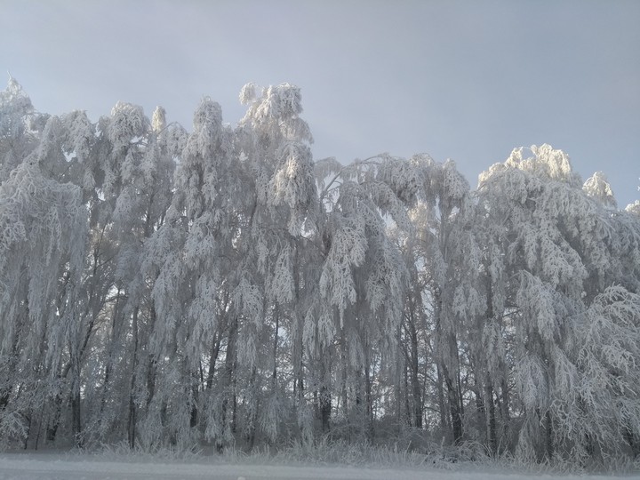 Зимняя красота 1