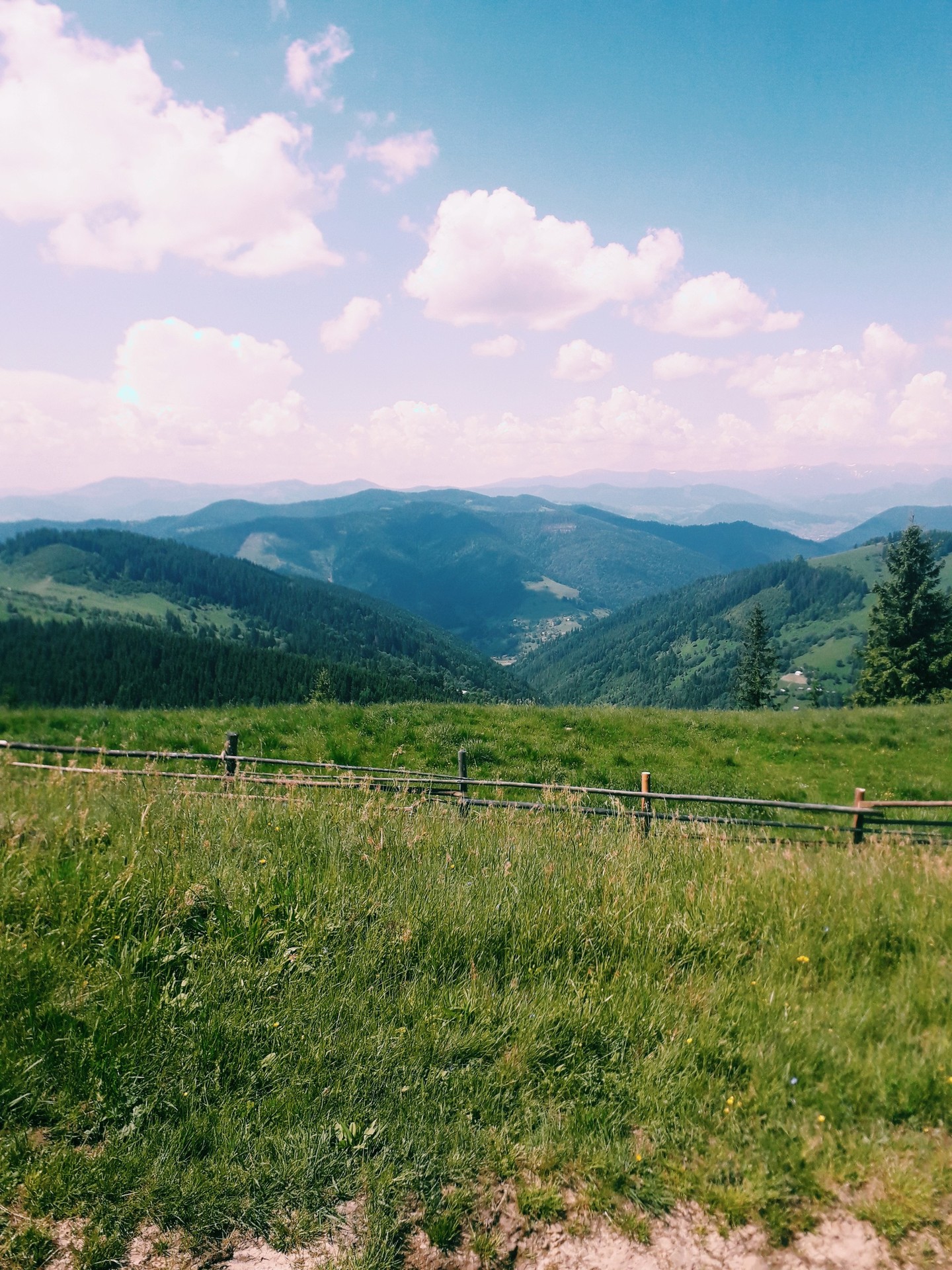 обои mountain, pasture