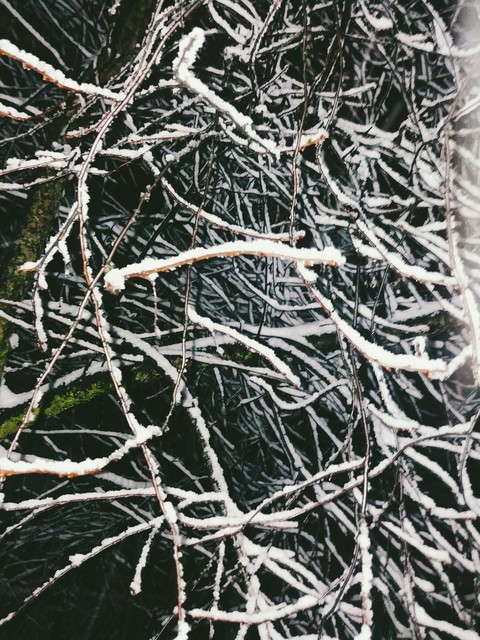 Snow around me