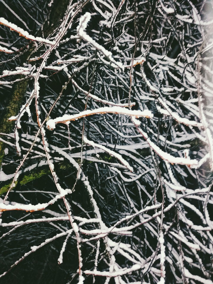 Snow around me
