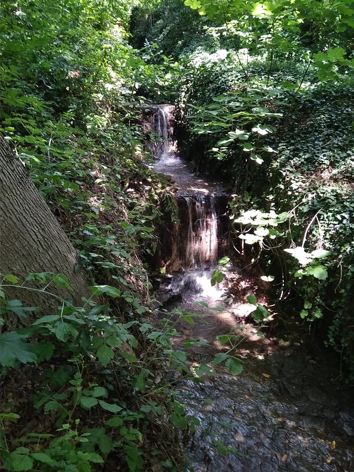 waterfall