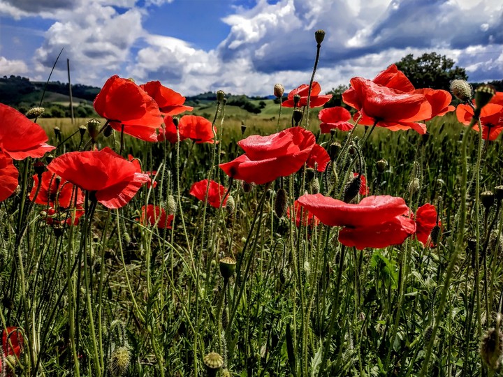 Italy