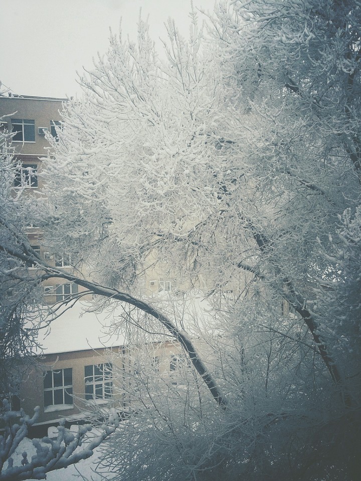 winter