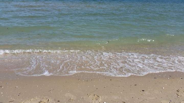 the ocean/beach