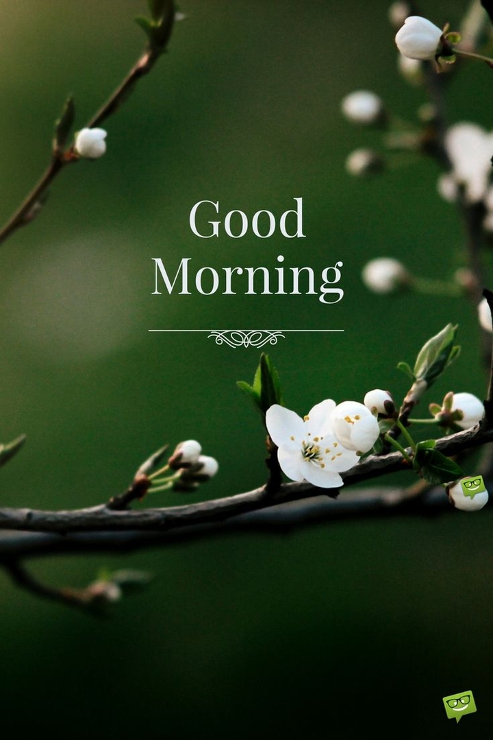 Good Morning