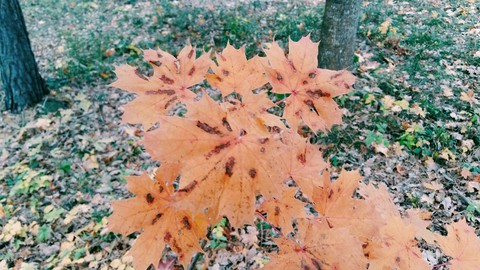 color