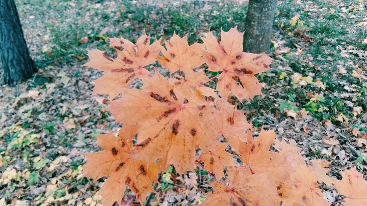 color