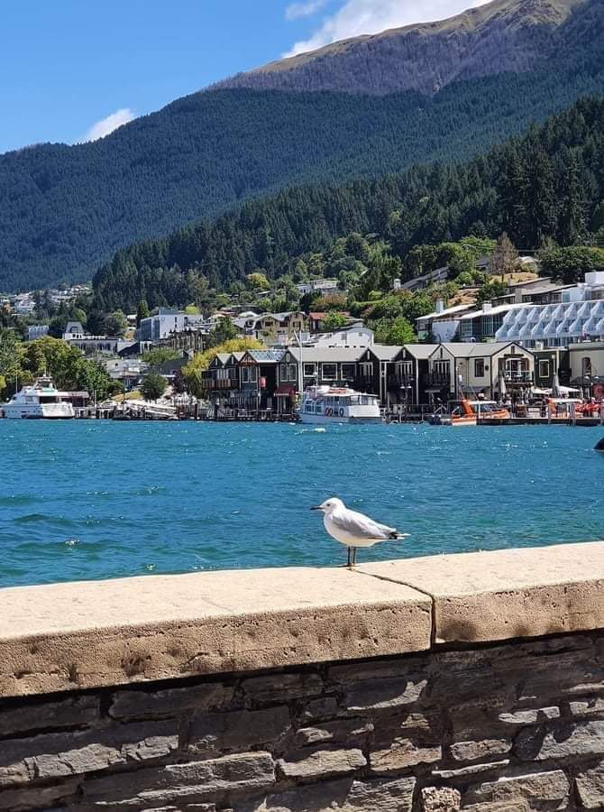 bird