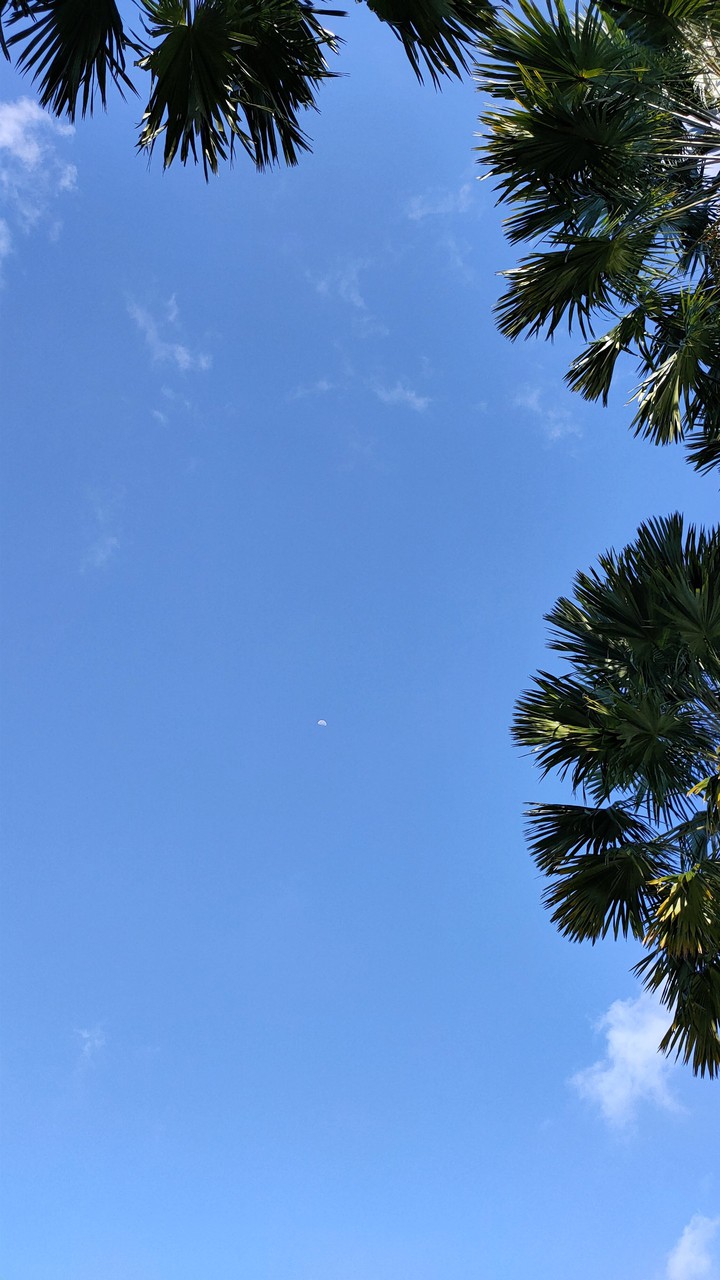 sky