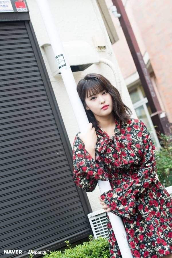 Ahin/MOMOLAND