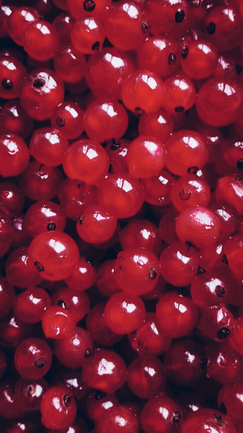 Red joy