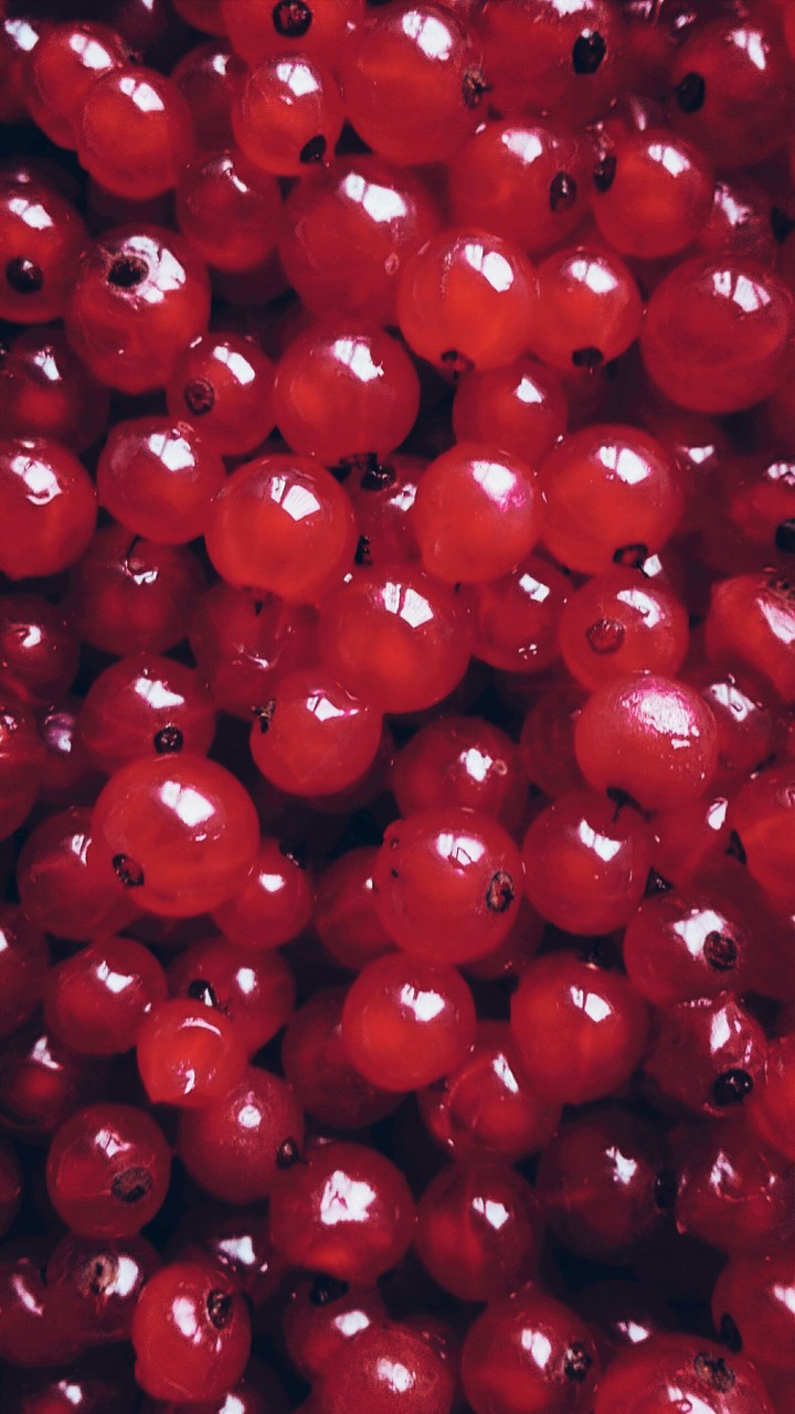 Red joy