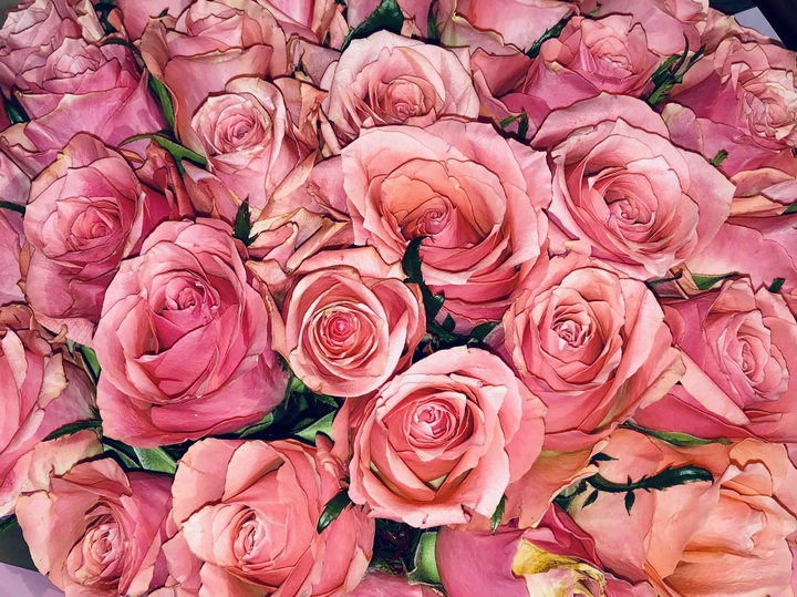 ROSES ?