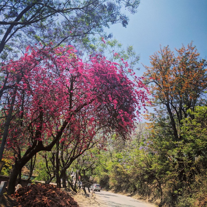 Roads
