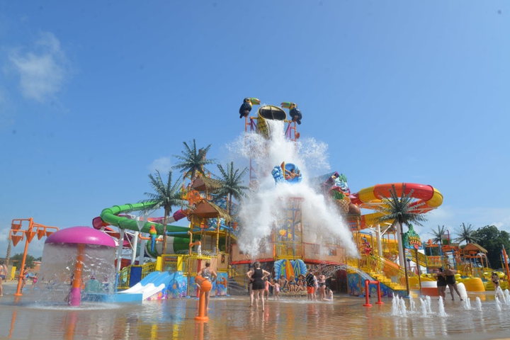splash Rigbys