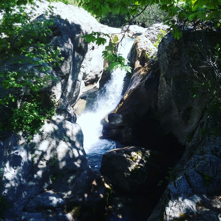 Kanyon