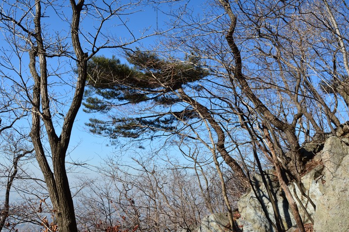 풍경이미지