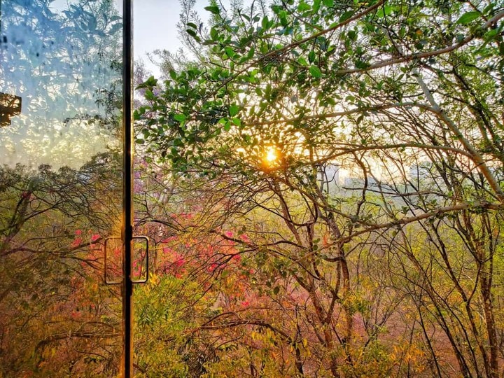 nature