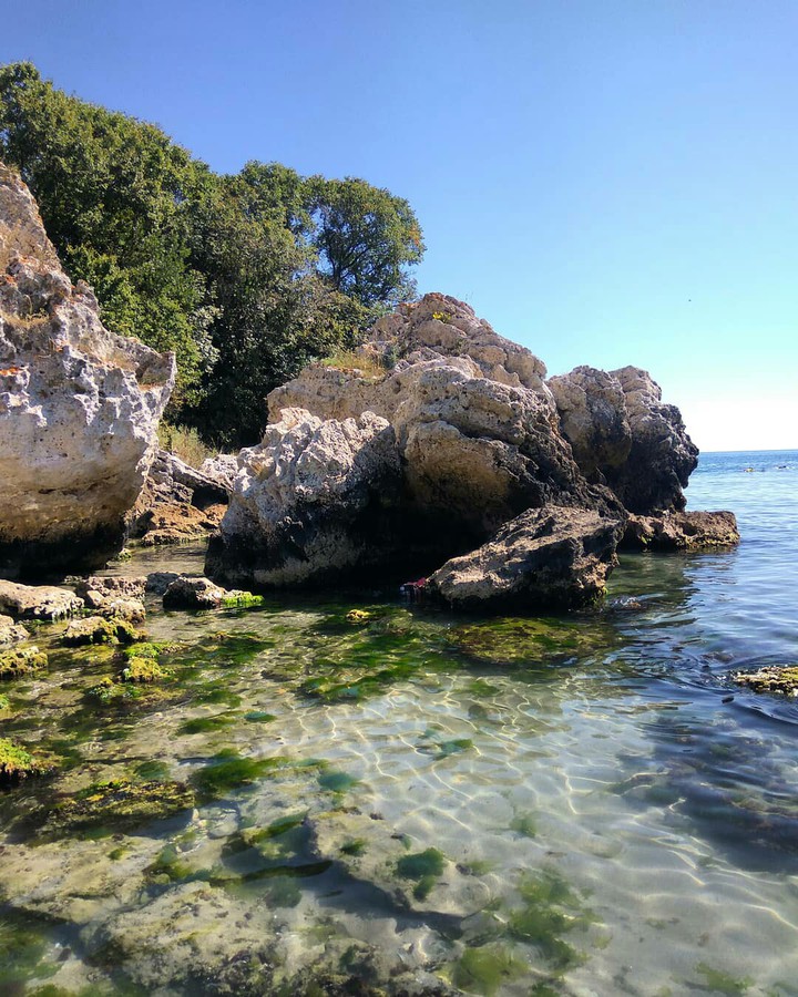 paradise land
