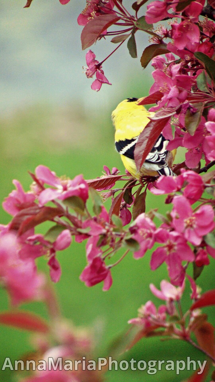 Spring on Campus