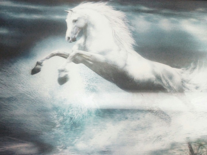 Beautiful horse.