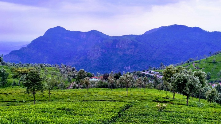 Ooty, India