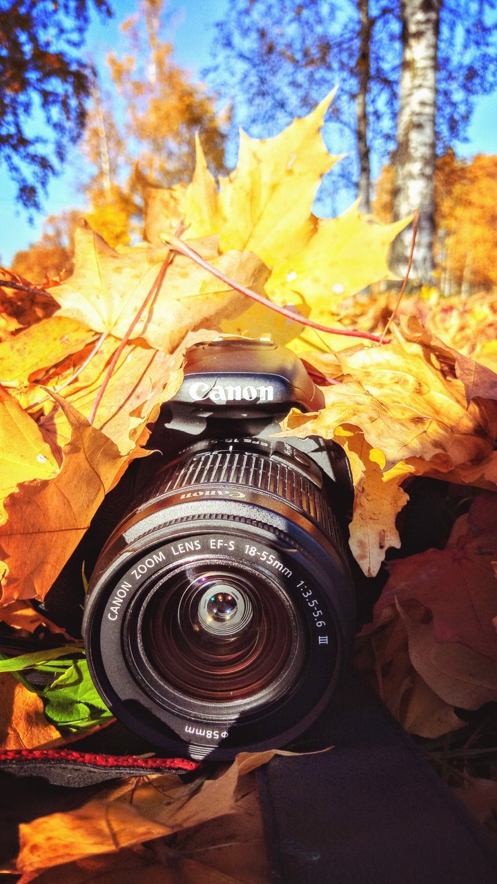 фотик