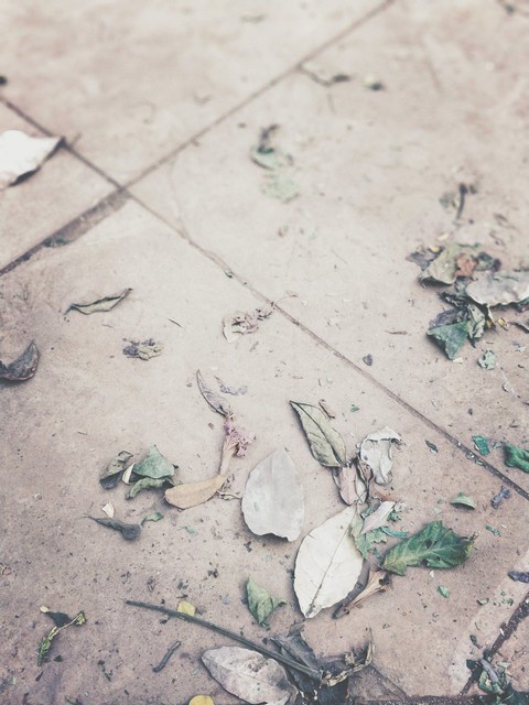 The End