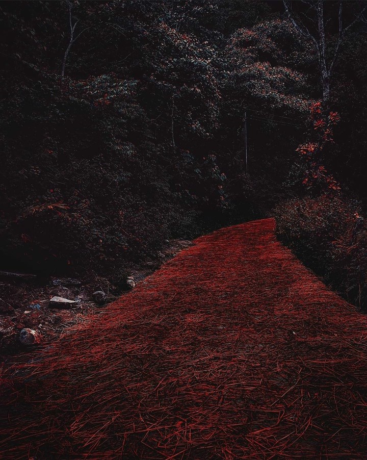 Road