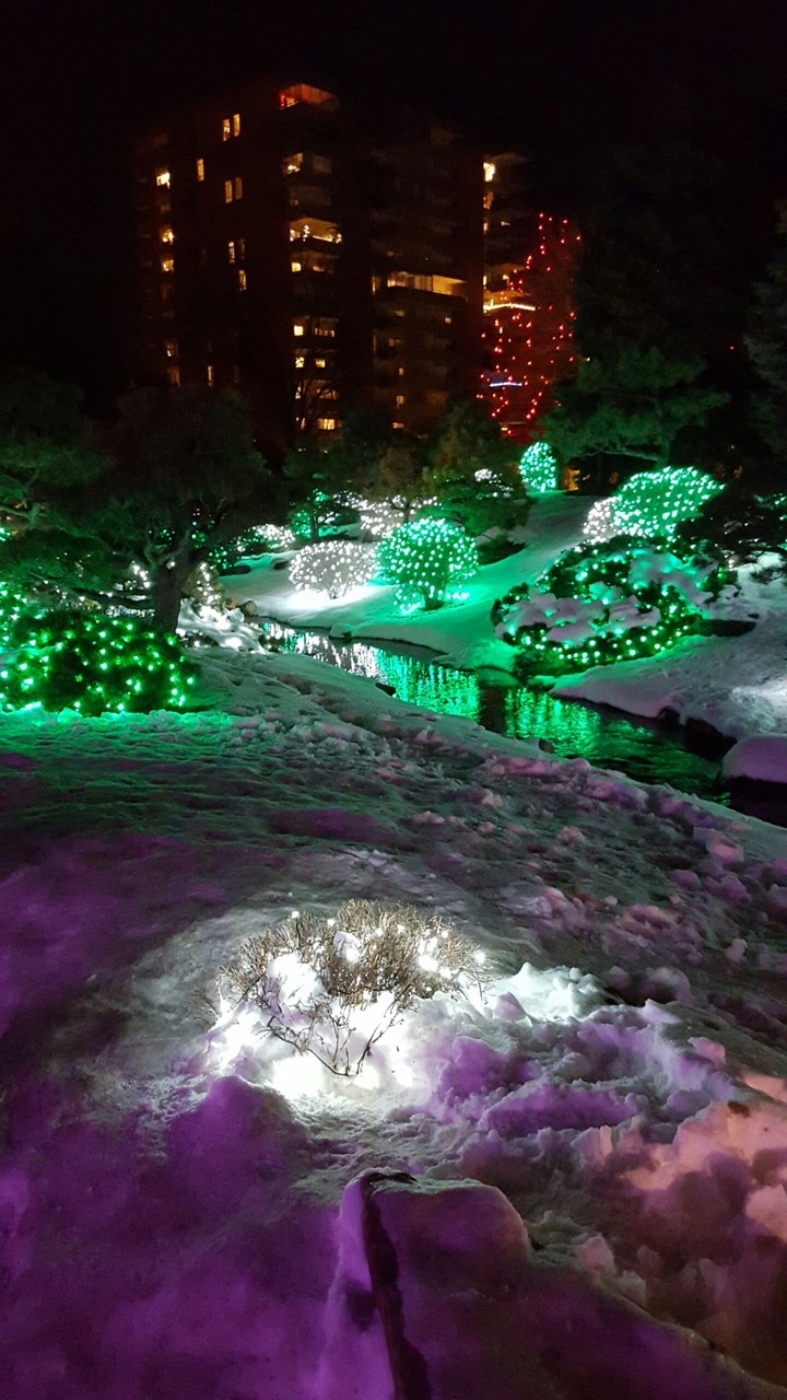 Denver Botanical Garden Lights