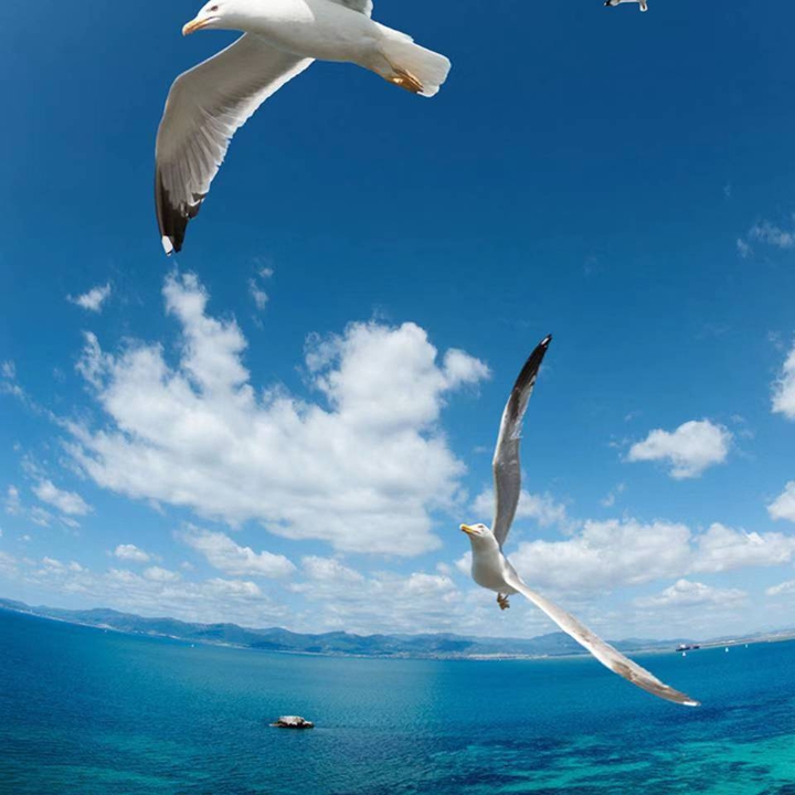 beautiful pic