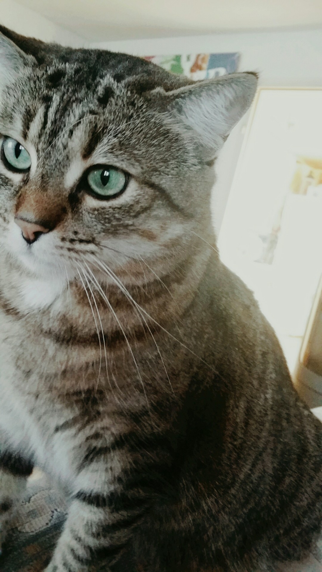Green eyes