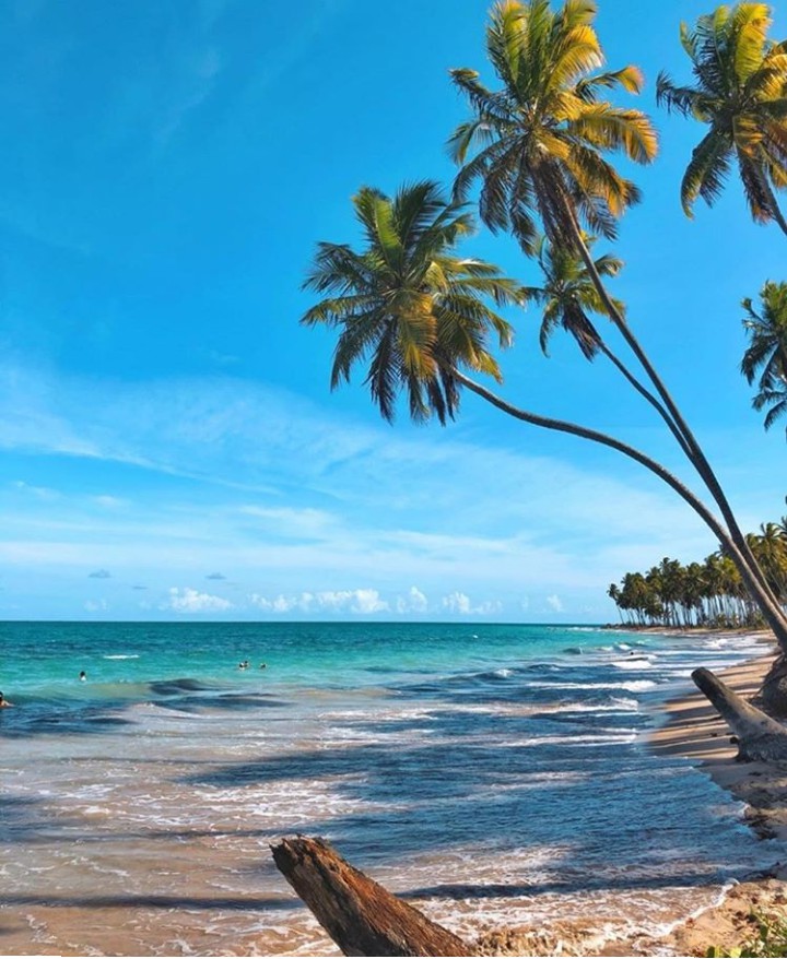 I love the beach, how about you?