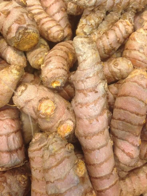 רקעים plant, turmeric