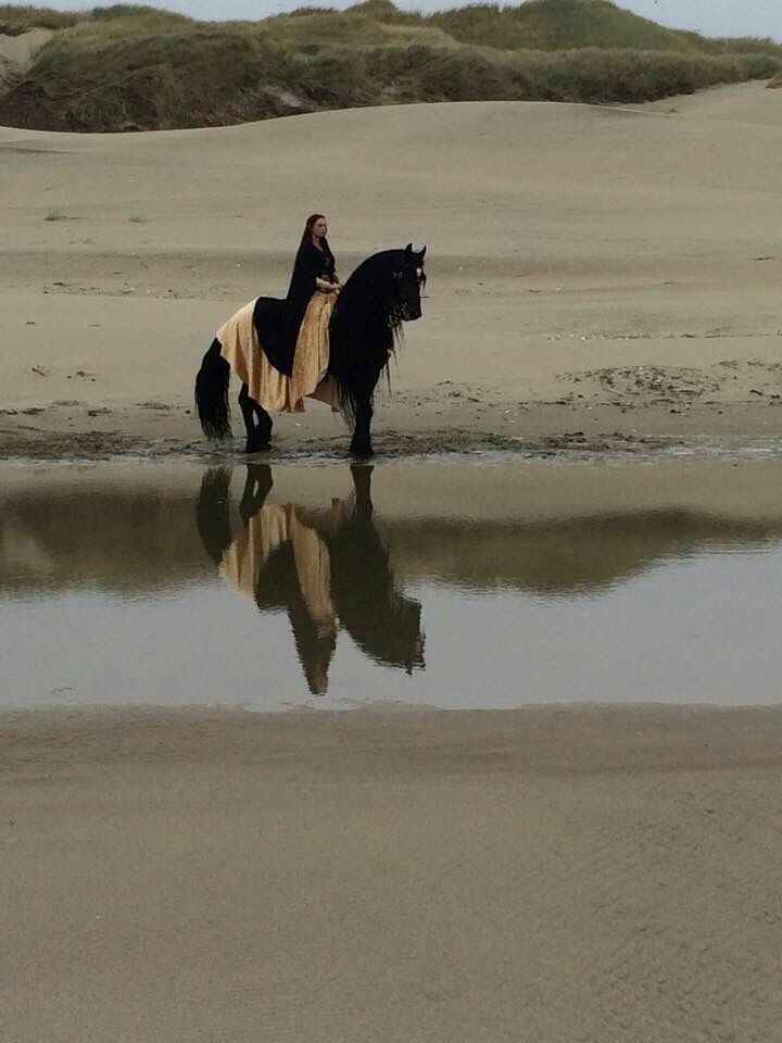 ✨